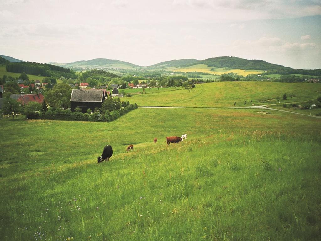 Ferienwohnungen Harmonie Und Bergblick Crostau Esterno foto